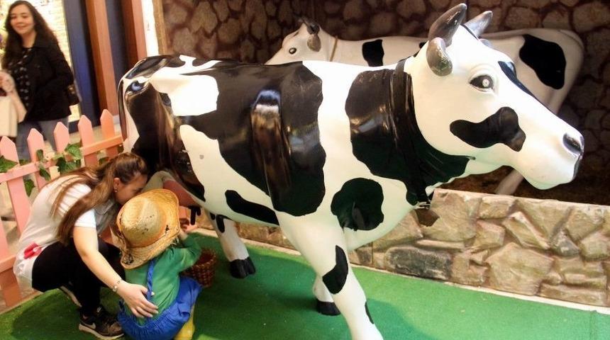 Çocuklar Ali Baba’nın Çiftliği’nde Çiftçi Oldu