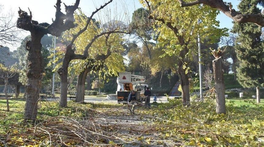 Salihli&rsquo;de Parklara Kışlık Bakım