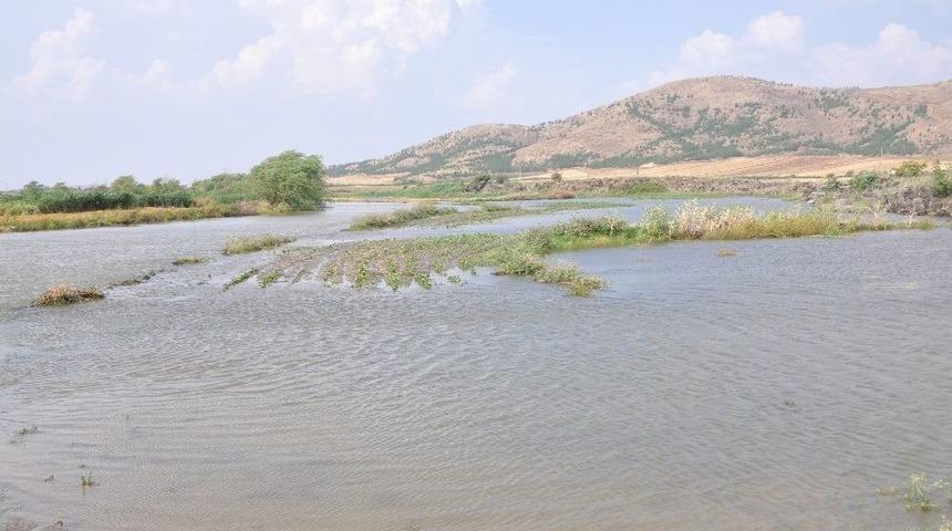 Taşan Nehir Tarım Arazilerini Sular Altında Bıraktı