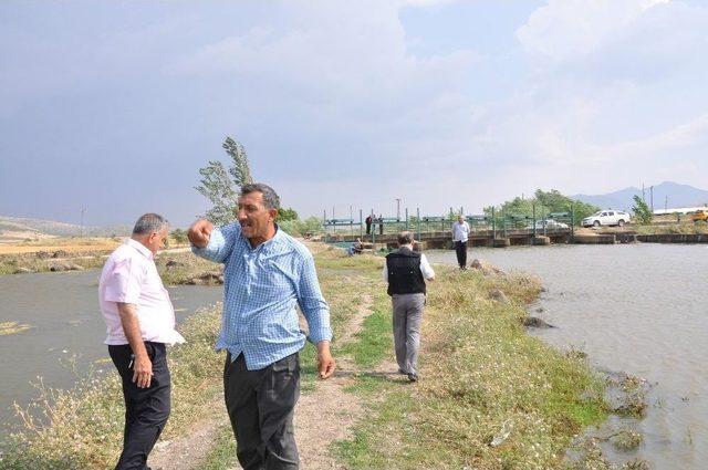 Taşan Nehir Tarım Arazilerini Sular Altında Bıraktı