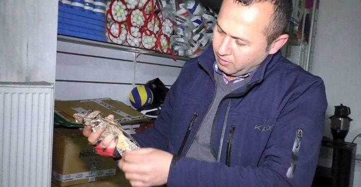 Ebabil Kuşu Ağrı’da Mağazaya Girdi G4