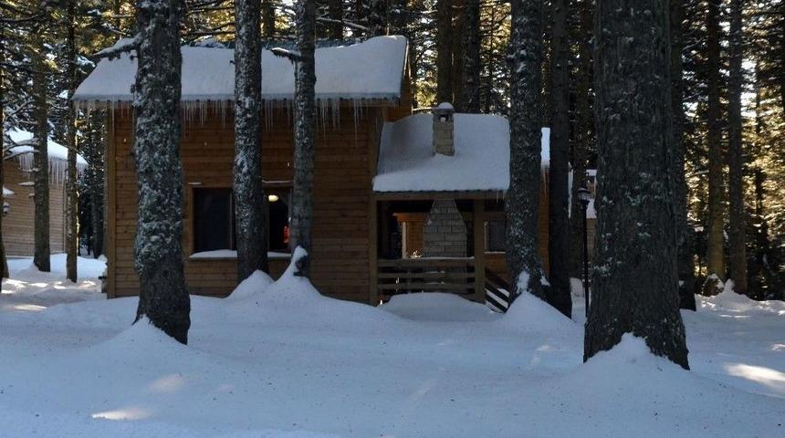 Orman Evlerine Yılbaşı Akını