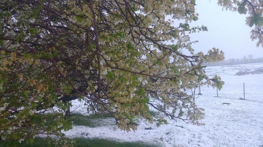 Tuzluca’da Kar Sürprizi