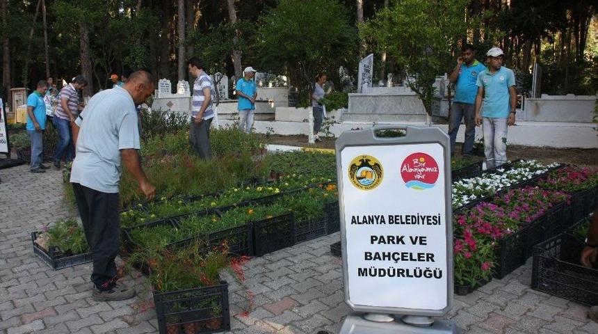 Alanya Belediyesi, 21 Mezarlıkta 42 Bin &Ccedil;i&ccedil;ek Dağıtacak