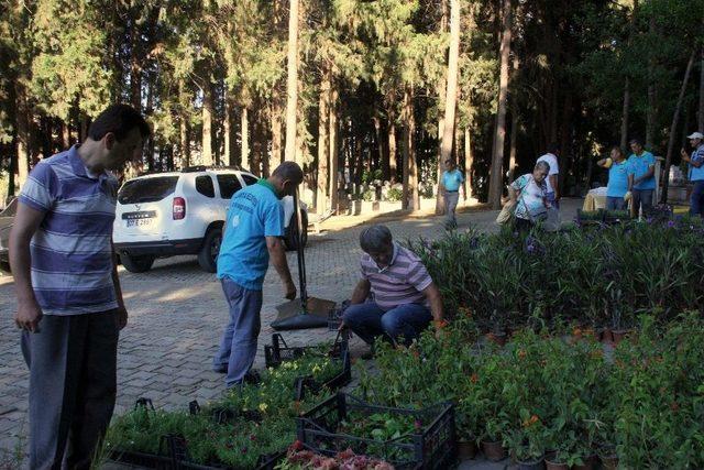 Alanya Belediyesi, 21 Mezarlıkta 42 Bin Çiçek Dağıtacak