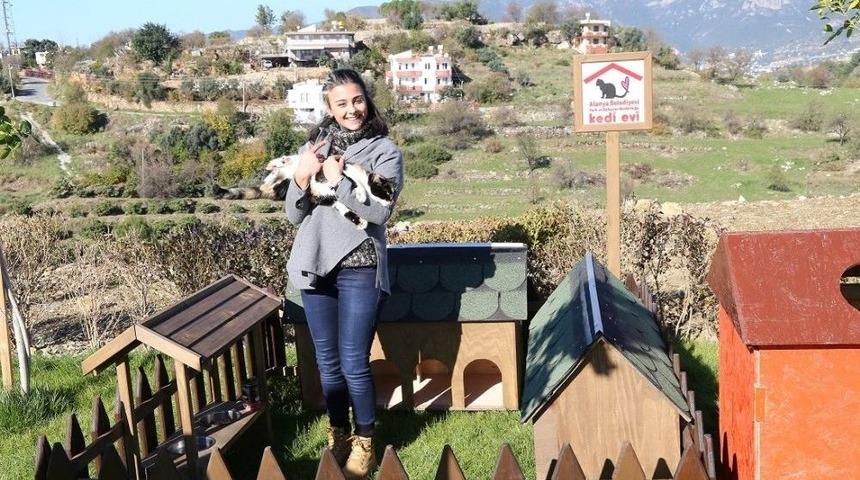 Alk&uuml;&rsquo;den &ldquo;pati &Ccedil;atısı&rdquo; Projesi