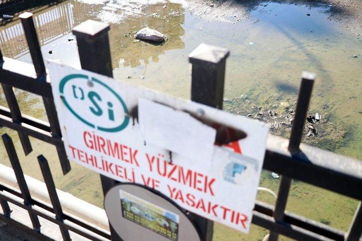 Adana’nın "venedik"i Mikrop Saçıyor G1
