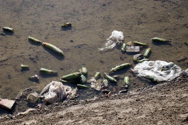 Adana’nın "venedik"i Mikrop Saçıyor G2