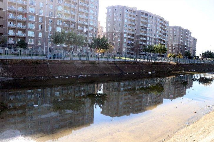 Adana’nın "venedik"i Mikrop Saçıyor G3