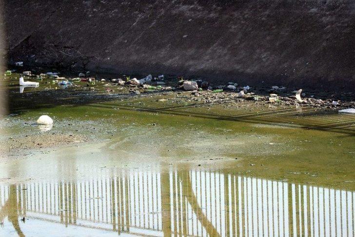 Adana’nın "venedik"i Mikrop Saçıyor G4