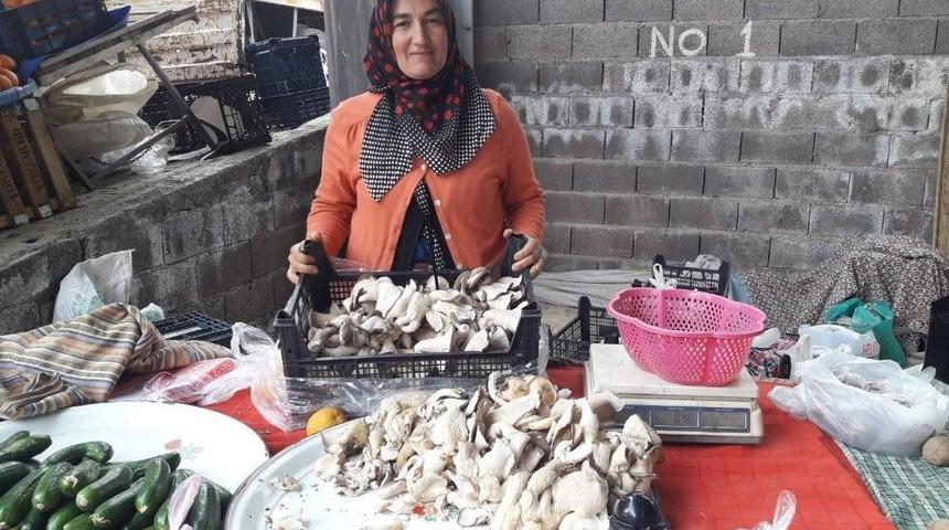 Tkdk’dan Aldığı Destekle Ürettiği Mantarları Pazarda Satıyor