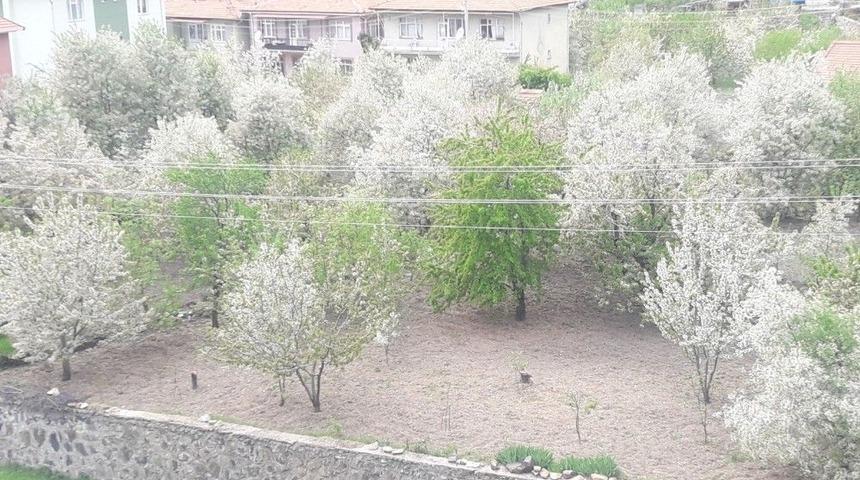 Şaphane&rsquo;de Renk C&uuml;mb&uuml;ş&uuml;