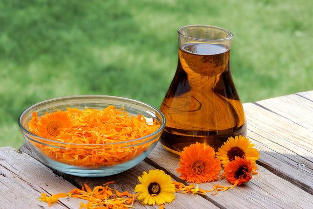 Calendula-Your_Skincare_Routine