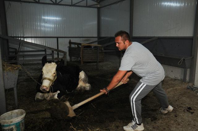 İnsanlık Köyü'nde, 'köy hayatı' reçetesi