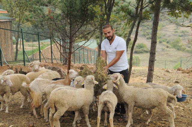 İnsanlık Köyü'nde, 'köy hayatı' reçetesi