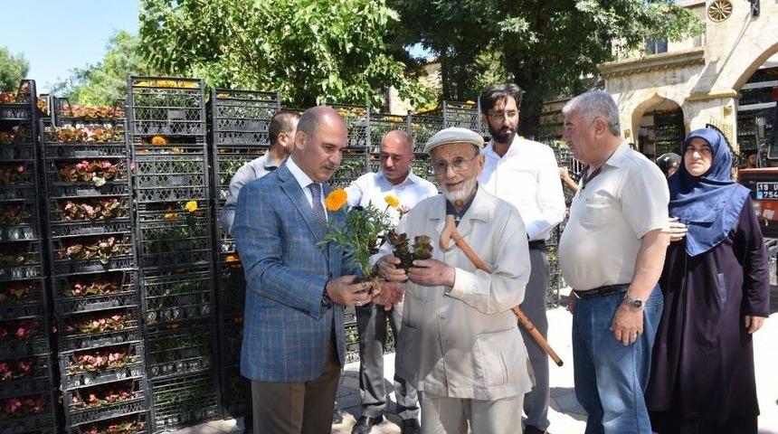 &Ccedil;orum Belediyesi Arife G&uuml;n&uuml; 60 Bin &Ccedil;i&ccedil;ek Dağıtacak