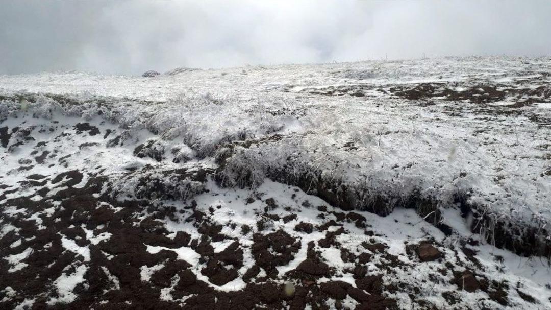 G&uuml;m&uuml;şhane&rsquo;nin Y&uuml;ksek Kesimleri Beyaza B&uuml;r&uuml;nd&uuml;