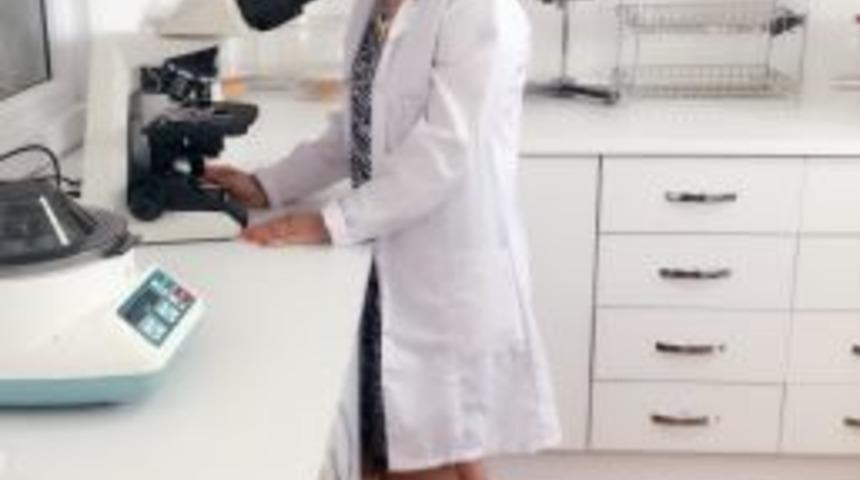 Kanserle Savaşta &ldquo;propolisin Antit&uuml;mor&rdquo; Etkisi