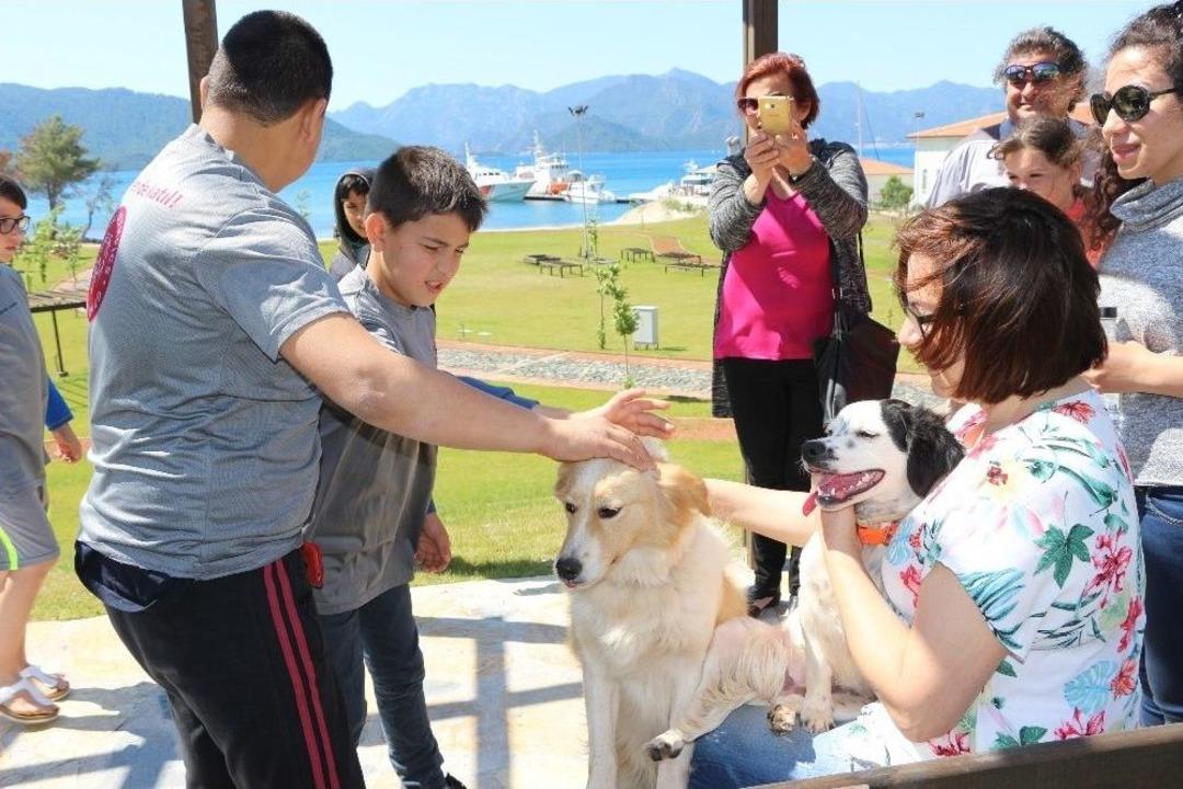 &Ouml;zel &Ccedil;ocuklar Barınakta Can Dostlarıyla Buluştu