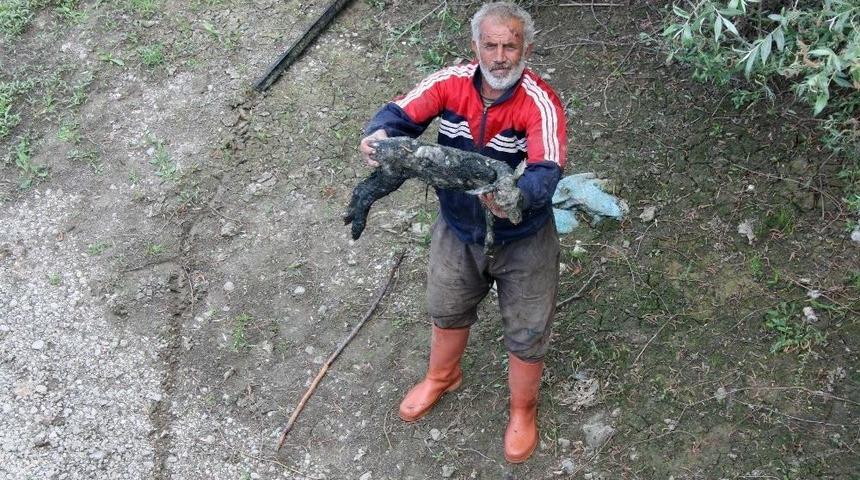 Zehirli Dereden Su İ&ccedil;en Oğlak &Ouml;ld&uuml;