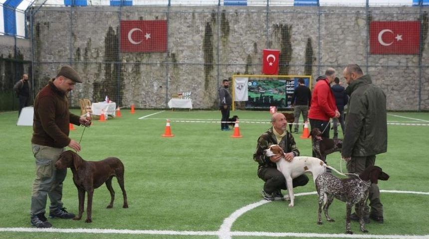 Trabzon&rsquo;da Uluslararası K&ouml;pek Irkları Yarışması