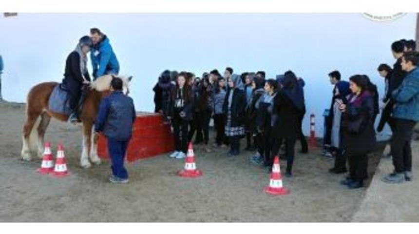 57 Devlet Okulunun &Ouml;ğrencileri Atlarla Buluşuyor