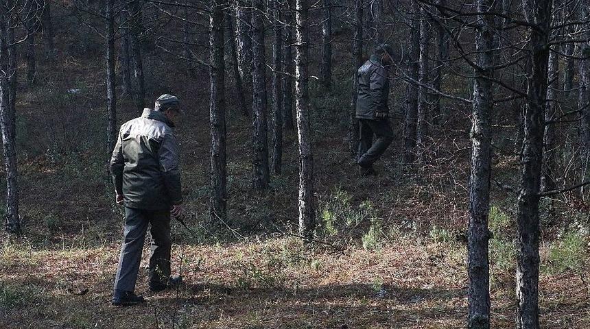 Orman Memurları &Ccedil;am N&ouml;betinde