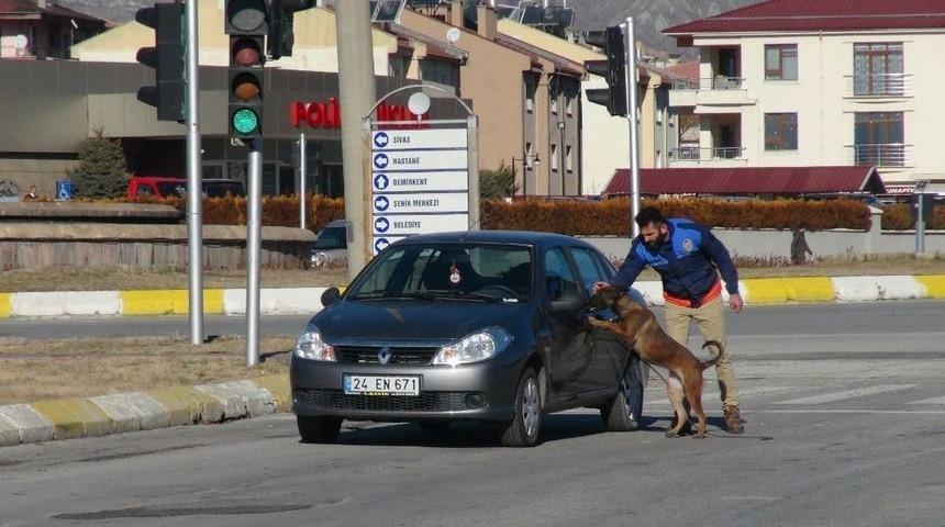 82 Yaşındaki Otomobil S&uuml;r&uuml;c&uuml;s&uuml; Paniğe Neden Oldu