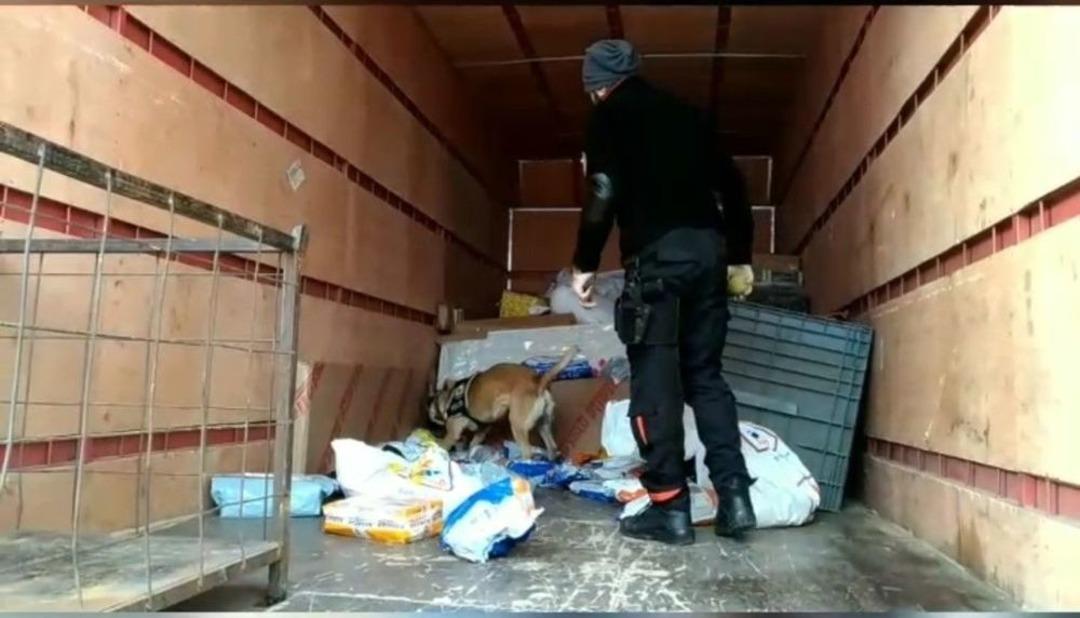 Kargoya "skunk" Baskını