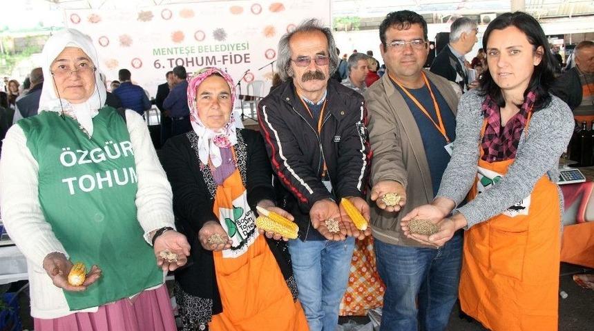 Menteşe&rsquo;de &lsquo;yerel Tohum-fide&rsquo; Şenliği