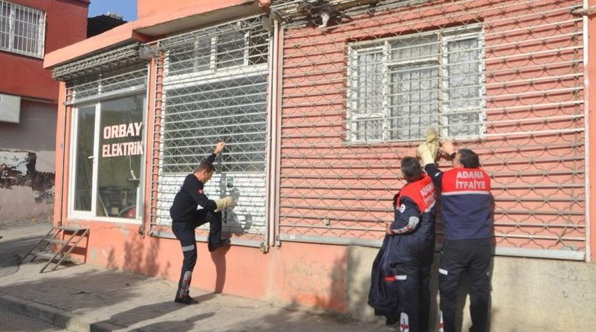 Darabaya Sıkışan Kediyi Cankur Kurtardı