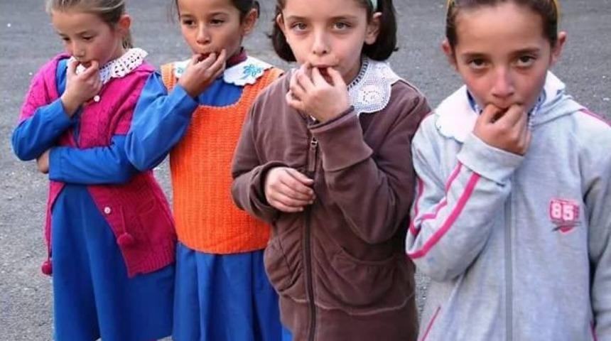 Giresun&rsquo;da &lsquo;kuşdili K&uuml;lt&uuml;r&uuml;&rsquo; Konulu Panel Yapılacak