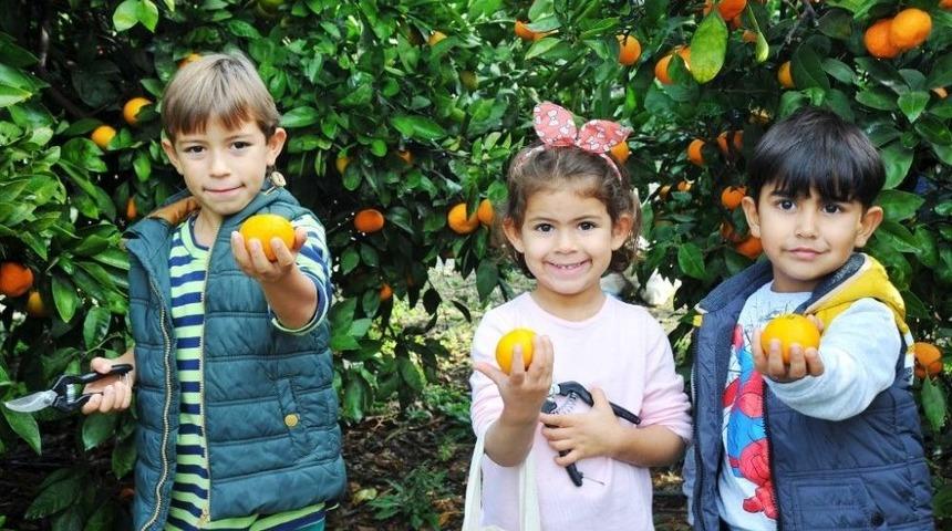 Nazilli Belediyesi&rsquo;nden Bir İlk; Meyve Bitkileri Parkı Projesi
