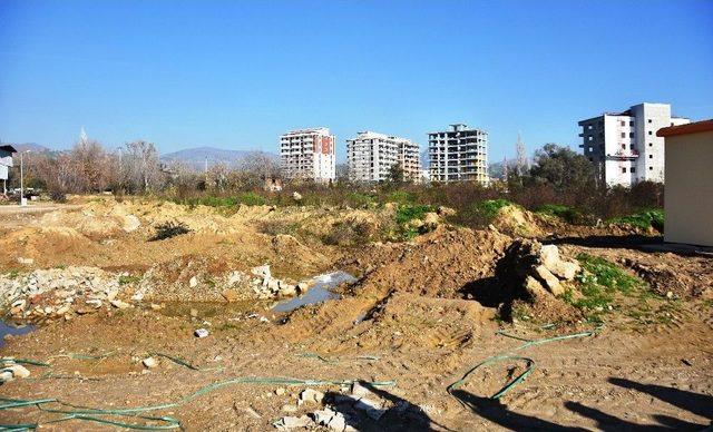 Nazilli Belediyesi’nden Bir İlk; Meyve Bitkileri Parkı Projesi