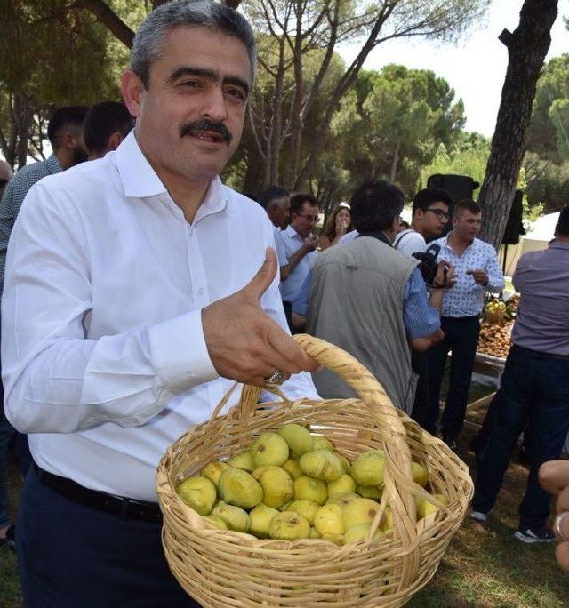 Nazilli Belediyesi’nden Bir İlk; Meyve Bitkileri Parkı Projesi