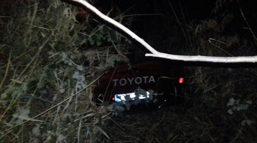 Kamyonet Elektrik Direğine &Ccedil;arptı: 1 Yaralı