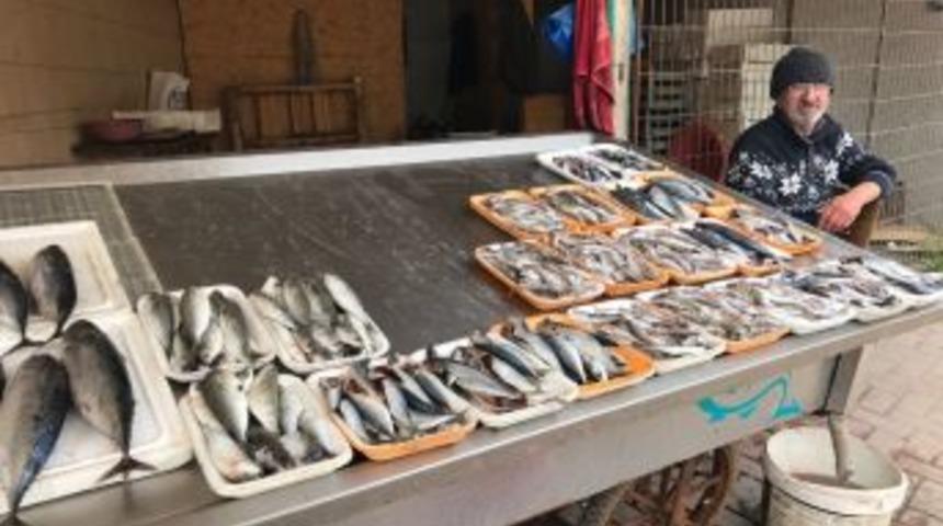 Balık Tezgahları Boşaldı
