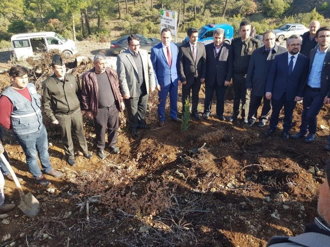 B&uuml;y&uuml;korhanlı Şehidin Adı Hatıra Ormanında Yaşayacak