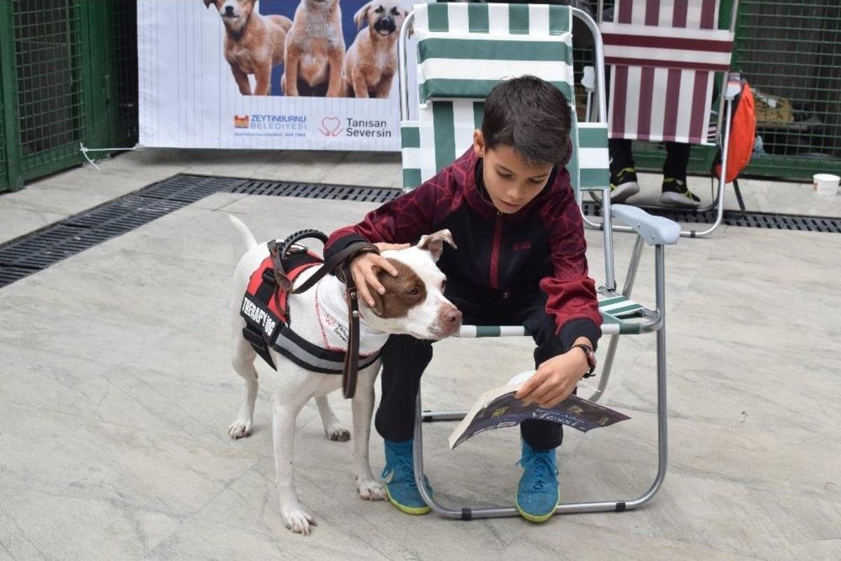 (&ouml;zel Haber) &Ccedil;ocuklar &ldquo;pati Oyunu&rdquo; İle Hayvan Korkularını Yeniyor