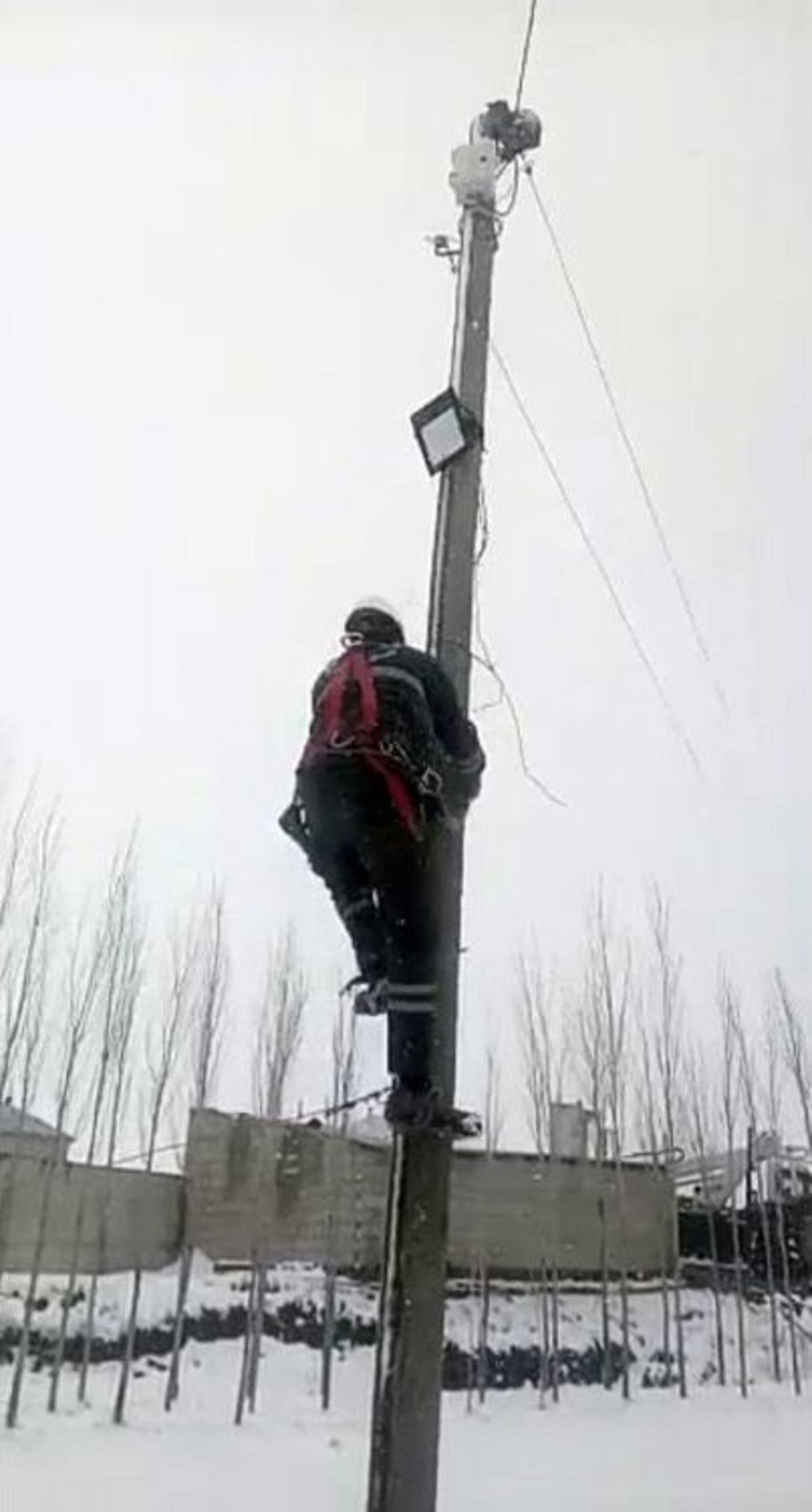 K&ouml;peklerden Ka&ccedil;an Kedi, &Ccedil;ıktığı Direkte Mahsur Kaldı