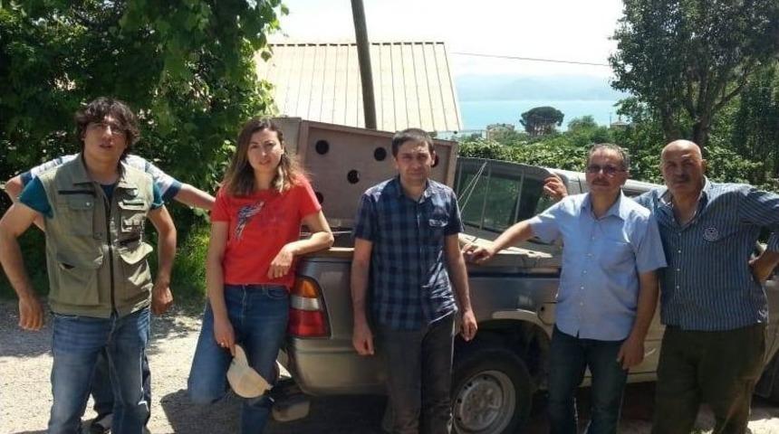 K&ouml;peklerin Saldırısına Uğrayan Karaca Tedavi Altına Alındı