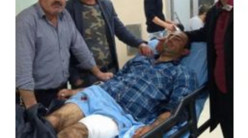 Yaban Domuzunun Saldırdığı &Ccedil;oban Hastanelik Oldu