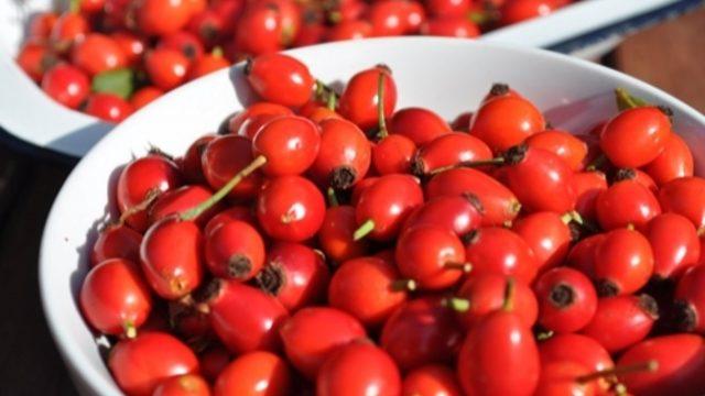 Zonaya İyi Gelen Yiyecekler