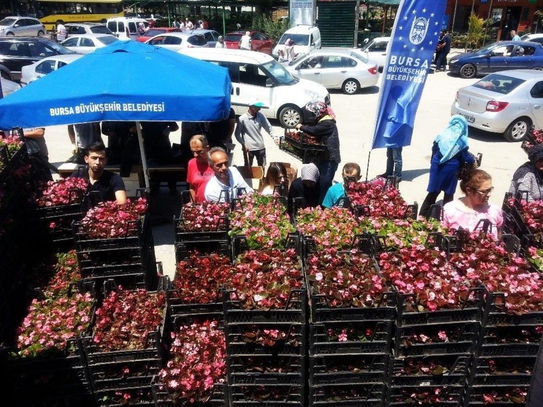 Bursa&rsquo;da Bayramda Kabir Ziyaretine Gelen 650 Bin Kişiye &Ccedil;i&ccedil;ek