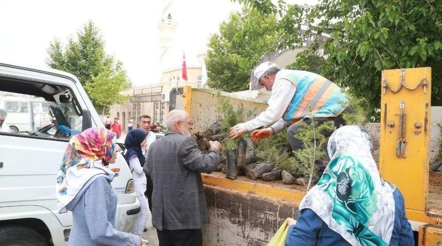 Mezarlıklarda 12 Bin 500 Fidan Dağıtıldı