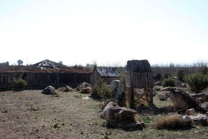 Kurduğu Merkezde Kanserle Savaşıyor G5