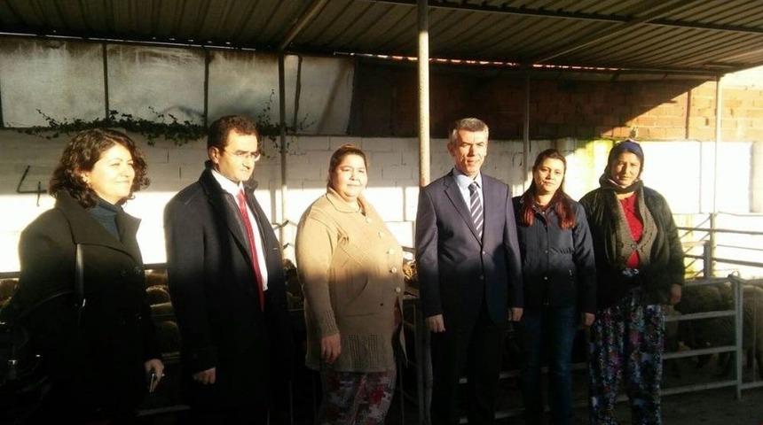 Gen&ccedil; &Ccedil;ift&ccedil;i Projesi Koyun Dağıtımını Kaymakam Sırmalı Yaptı