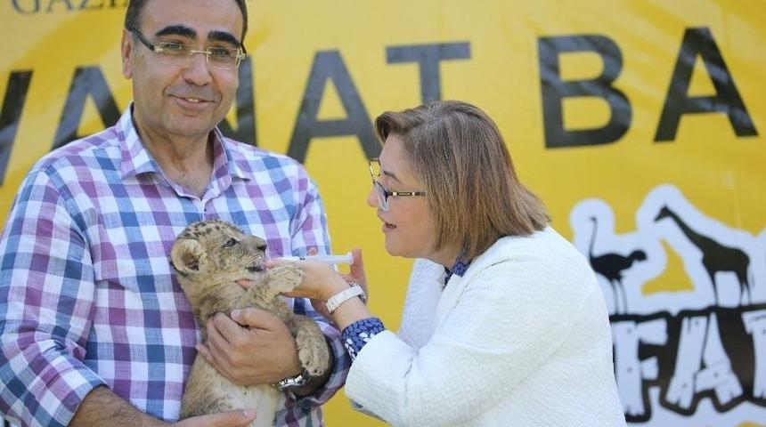 23 Nisan&rsquo;da Hayvanat Bah&ccedil;esi &Uuml;cretsiz