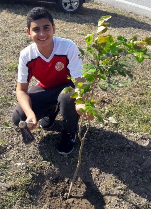 Genç Sporcular Mudanya’da Fidan Dikti