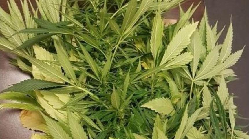 &Ccedil;arşı Ve Mahalle Bek&ccedil;ileri Yeniden Sokaklarda